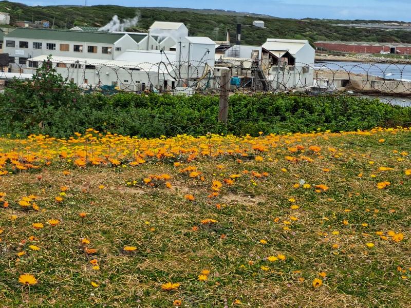 6 Bedroom Property for Sale in Kleinbaai Western Cape